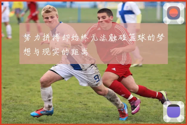 努力拼搏却始终无法触碰篮球的梦想与现实的距离