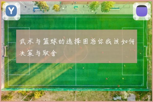 武术与篮球的选择困惑你我该如何决策与取舍