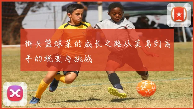 街头篮球菜的成长之路从菜鸟到高手的蜕变与挑战