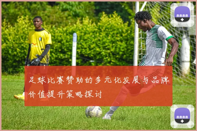 足球比赛赞助的多元化发展与品牌价值提升策略探讨